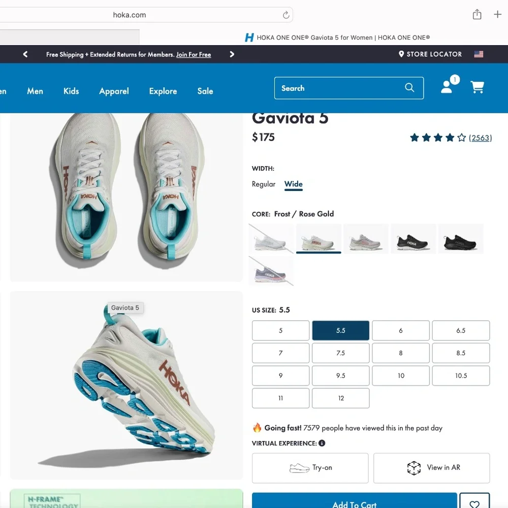 Hoka Gaviota - Picture 3 of 3